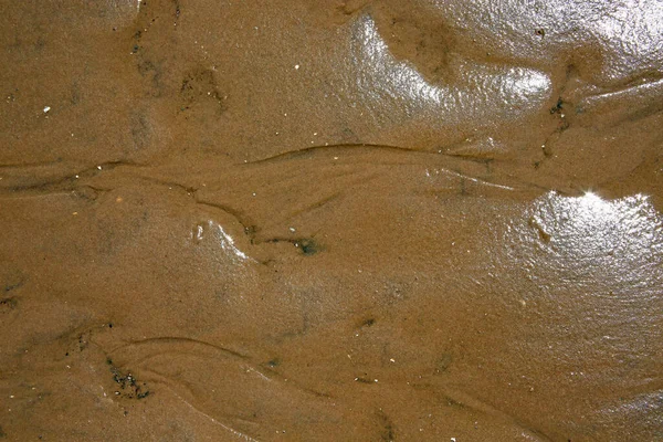 湿海滩沙中水流的模式 — 图库照片