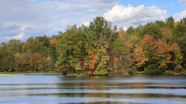 Sonbaharın başlarında Stanfield Gölü kıyısında ağaçlar mavi gökyüzünde bulutlarla, Muscatatuck Ulusal Vahşi Yaşam Sığınağı, Indiana 'da