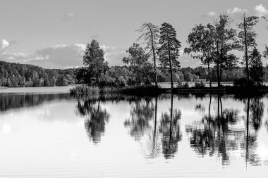 A monochrome landscape depicting a lake with a line of trees on the distant shore. The water is absolutely calm, creating a near-perfect, mirror-like reflection of the trees and shoreline.
