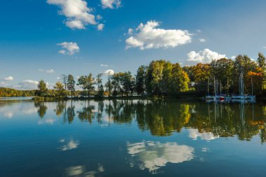 A picturesque autumn landscape on the shore of a lake. A line of trees rises above the smooth water, reflecting a blue sky with white clouds. Several sailing yachts are moored near the shore.