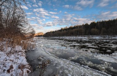 Buz ve karla kaplı donmuş bir göleti olan manzara, çıplak bir ağacın dallarının ormanın arka planına ve sisli bir ufka karşı suyun üzerine eğildiği yer..