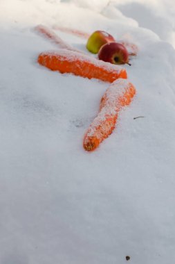 Parlak turuncu havuçlar ve taze elmalar güneşli bir kış ormanının arka planına karşı yumuşak beyaz karda uzanır. Görüntü doğayla ilgilenmeyi sembolize ediyor..