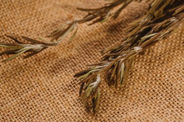 yakın çekim görevden baharat kurutulmuş biberiye yaprakları