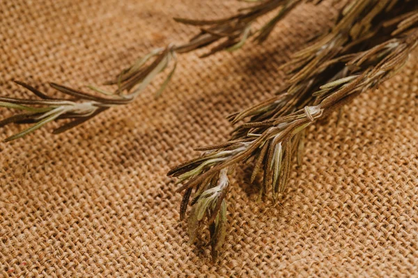 yakın çekim görevden baharat kurutulmuş biberiye yaprakları