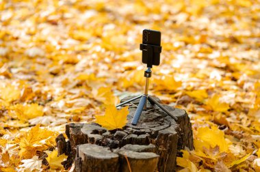 Kavramsal sonbahar sahnesi, canlı sarı yapraklarla çevrili eski bir ağaç kütüğünün üzerinde duran ve düşme modunu ve yaratıcı fotoğraf setini yakalayan bir tripodu gösteriyor.