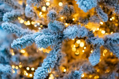 Karla kaplı çam dalları sıcak altın Noel ışıklarıyla aydınlatılıyor. Yumuşak bokeh ve buzlu detaylarla sıcacık bir kış tatili atmosferi yaratıyor.