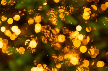 Yumuşak, parıldayan altın Noel ışıkları yemyeşil dallarda parlak bir şenlik oluşturarak mevsimlik arka planlar için mükemmel sıcak bir tatil atmosferi yaratıyor.