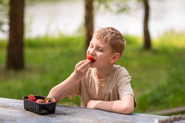 Açık havada açık havada çilek yiyen bir çocuk, tatlı bir yaz atıştırmasının tadını çıkarıyor.