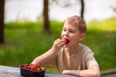 Açık havada açık havada çilek yiyen bir çocuk, tatlı bir yaz atıştırmasının tadını çıkarıyor.