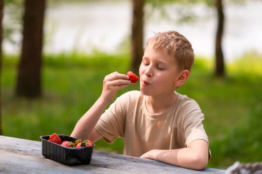 Açık havada açık havada çilek yiyen bir çocuk, tatlı bir yaz atıştırmasının tadını çıkarıyor.