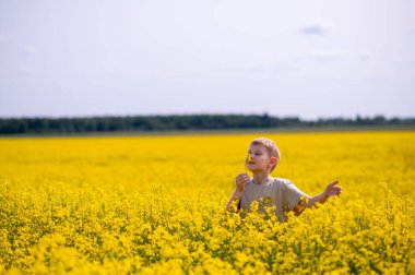 Sarışın çocuk güneşli bir günde çiçek açan bir kolza tarlasında duruyor, nazikçe sarı bir çiçek kokluyor, doğa ve altın ışıkla çevrili.