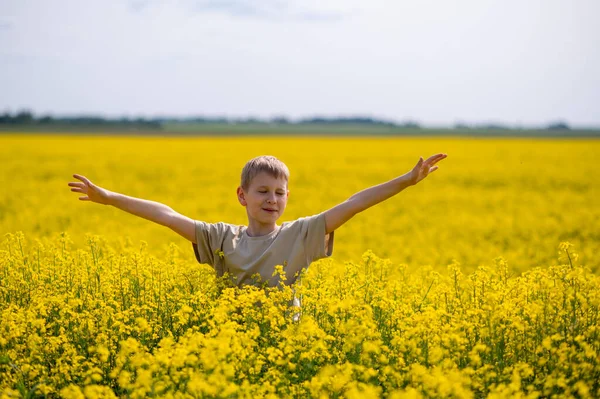 Kollarını açmış neşeli bir çocuk mavi gökyüzünün altındaki sarı açan kolza tohumu tarlasında duruyor.