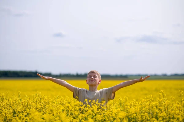 Kollarını açmış neşeli bir çocuk mavi gökyüzünün altındaki sarı açan kolza tohumu tarlasında duruyor.