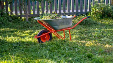Arka bahçede kesilmiş çimlerle dolu el arabası bahçe bakımı, bahçe bakımı, bahçe bakımı ve mevsimlik bakım.
