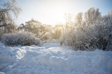 Donmuş nehir ve karla kaplı ağaçlarla geniş kış manzarası, soğuk mevsim kavramı, doğa ve sükunet.