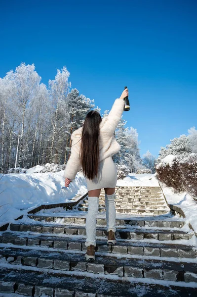Kürk şapkalı ve ceketli neşeli bir kadın karlı merdivenlerde duruyor ve kış parkında şampanya şişesi kaldırıyor. Kutlama, başarı ve açık hava yaşam tarzı konsepti