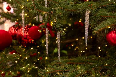 Parlak kırmızı toplar ve şeffaf buz saçaklarıyla süslenmiş gür bir köknar ağacının şenlikli yakın çekimi. Tatil arka planında sıcak peri ışıkları ve sıcak bir ev içinde altın bokeh yer alıyor.