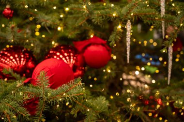 Parlak kırmızı toplar ve şeffaf buz saçaklarıyla süslenmiş gür bir köknar ağacının şenlikli yakın çekimi. Tatil arka planında sıcak peri ışıkları ve sıcak bir ev içinde altın bokeh yer alıyor.