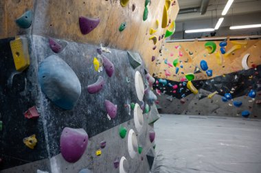 Çeşitli parlak tırmanışların geniş bir görüntüsü ahşap bir kaya duvara tutunuyor. Kapalı alan sporu, aktif yaşam tarzı, hobi, yetişkinler ve çocuklar için aşırı eğitim ve fiziksel koordinasyon kavramı