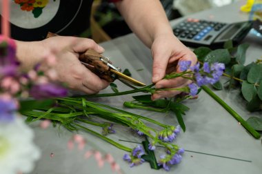 Çiçekçi dükkanının kapağını, buket düzenleme ve perakende satışı için gri çalışma alanı arka planındaki küçük menekşe statik çiçeklerini bukle sapı ile bukle düzenleme ve perakende Sal 'i bukle.