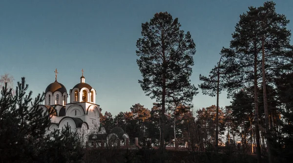 Церковь в лесу — стоковое фото
