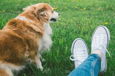 Beyaz spor ayakkabılı sahibi, kızıl köpeğiyle çimlerin üzerinde oturuyor.