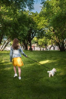 Genç bir kadın köpeğiyle parkta yürüyor. Arka plan