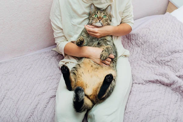 Mulher Sentada Cama Com Gato Mão — Fotografia de Stock