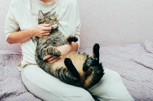 Proprietário Jaz Cama Com Seu Gato — Fotografia de Stock