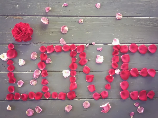 Älskar alfabet med röda och rosa rosenblad Stockfoto
