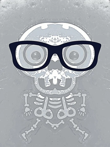Cráneo y hueso blanco con gafas negras y fondo gris —  Fotos de Stock