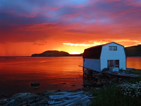 Барвистий Ньюфаундленду заході сонця — стокове фото