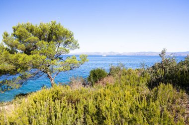 Huzurlu bir kıyı manzarası ön planda bereketli çalılar, canlı bir mavi deniz ve kayan tepeler zeminine karşı uzak bir tekne. Seyahat, doğa ve rahatlama temaları için ideal.
