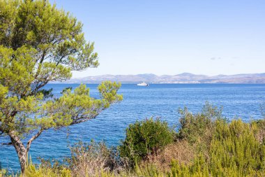 Huzurlu bir kıyı manzarası ön planda bereketli çalılar, canlı bir mavi deniz ve kayan tepeler zeminine karşı uzak bir tekne. Seyahat, doğa ve rahatlama temaları için ideal.