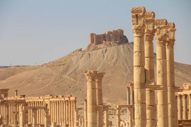 Palmyra 'daki antik Roma zaman kasabası