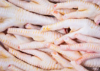 Taze çiğ tavuk ayağı. Taze tavukla bağlantısı kesildi. Tavuk bacağı, çiğ, sağlıklı yemek teması.