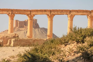 Ön plandaki antik sütunları ve kurak arazideki tarihi kuleleri vurgulayan manzaralı bir manzara.