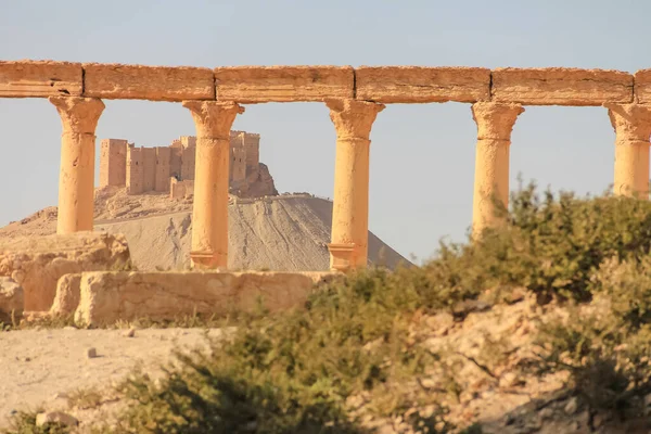 Ön plandaki antik sütunları ve kurak arazideki tarihi kuleleri vurgulayan manzaralı bir manzara.