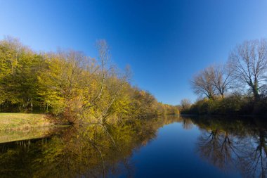 Berrak bir mavi gökyüzünün altında, nehrin durgun sularına yansıyan sakin bir sonbahar ormanı manzarası huzurlu ve resimsel bir ortam yaratıyor..