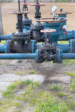 Kapakçıklı gaz çıkarma makineleri yemyeşil bir alanda duruyor ve arka planda bir ağaç çizgisi var. Bu da doğal ortama entegre edilmiş bir endüstriyel konumu gösteriyor..