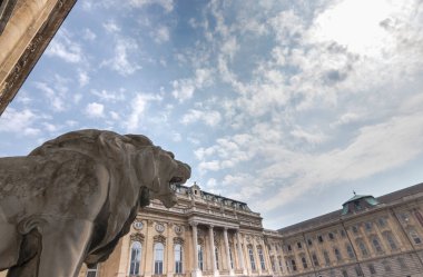 Buda Kalesi (Kraliyet Sarayı) iç avlusu. Macaristan Ulusal Galerisi aslan bakışı, Budapeşte, Macaristan.