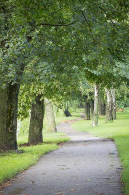 Güzel renkli bir park. Parktaki karanlık yollar..