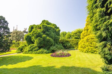 Huzurlu bir bahçe sahnesi, yontulmuş Evergreens, dairesel bir çiçek yatağı, ve berrak mavi bir gökyüzünün altında iyi korunmuş bir çimenlik. Doğa, peyzaj ve açık hava ortamları için ideal..