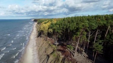 Litvanya 'da Klaipeda yakınlarında Baltık Denizi' nde bir sahilin havadan görünüşü. Litvanya 'nın Klaipeda kenti yakınlarındaki Baltık Denizi kıyı şeridinin hava manzarasında, yemyeşil ormanlarla çevrili kumlu bir sahil bulunuyor.. 
