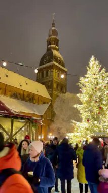 Riga Katedrali ve Noel ağacı gece görüşü. Riga 'nın eski kasabası Letonya' da kış. Işıklar ve kırmızı süslemelerle süslenmiş aydınlık Noel ağacı, Gotik bir katedralin arka planına kurulmuş, göze çarpan, karla kaplı bir kulesi var..