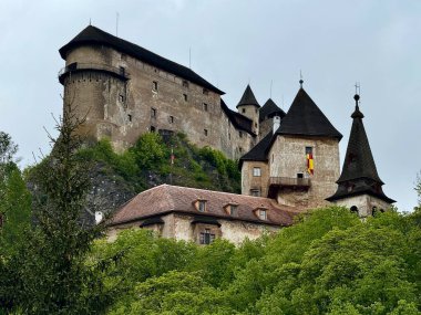 Orava Kalesi, Slovakya 'da bulunan ve Orava Nehri' nin yukarısındaki kayalık bir uçuruma tünemiş ortaçağ kalesidir. Şatoda küçük pencereli taş duvarlar ve üzerinde karanlık çatılar bulunan birden fazla sivri uçlu kuleler yer alıyor..