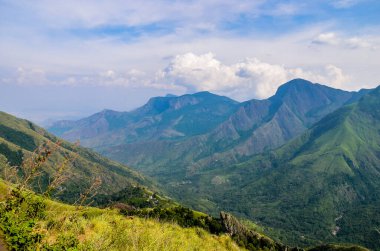 Munnar 'ın puslu dağları, Kerala, Hindistan