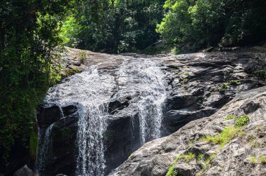 Munnar tepelerinde küçük bir şelale, Kerala, Hindistan