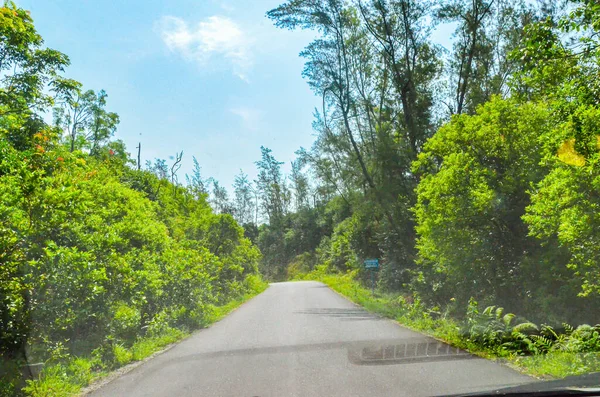 Fahrt Durch Eine Von Bäumen Gesäumte Straße Von Mangalore Nach — Stockfoto