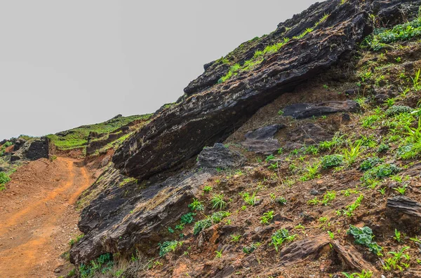 Layers of iron ore deposits in the mountains of Baba Budangiri at Chikmagalur, India